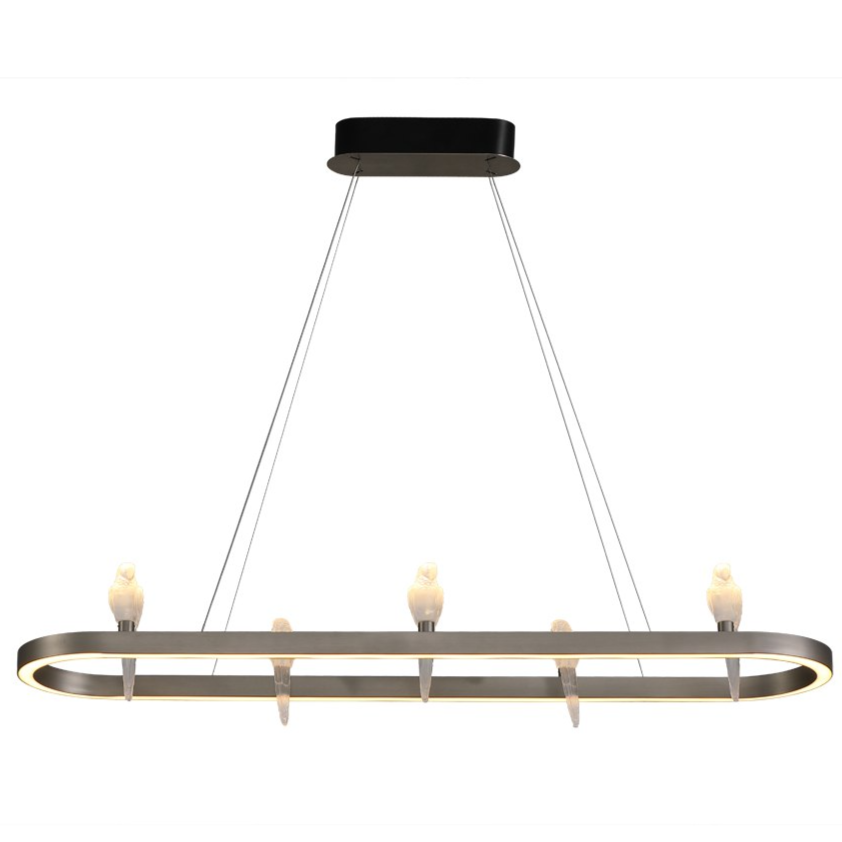 Parakeet rings Pendant Hanging Light