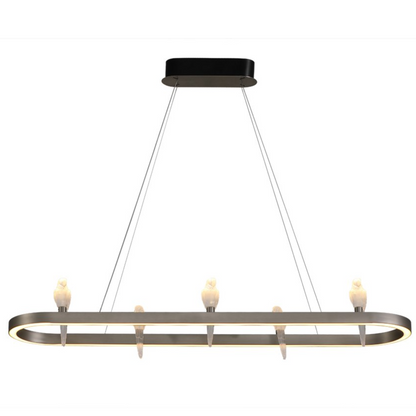 Parakeet rings Pendant Hanging Light
